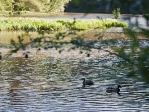 Prodej chaty, Plasy, 26 m2