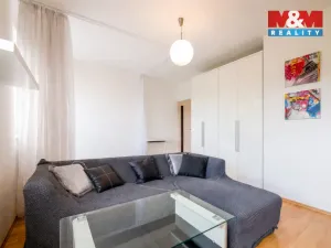 Pronájem bytu 1+kk, Plzeň - Jižní Předměstí, U Radbuzy, 29 m2