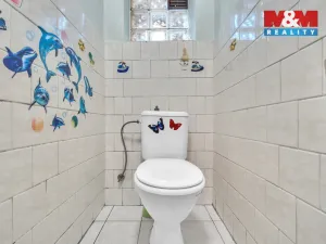 Prodej rodinného domu, Moravská Třebová - Udánky, 300 m2