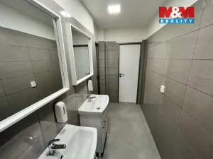 Pronájem kanceláře, Ostrava - Moravská Ostrava, Nemocniční, 277 m2