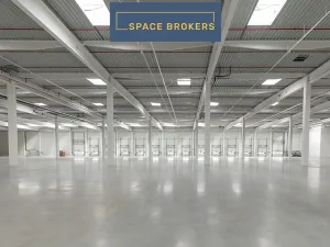 Pronájem skladu, Hladké Životice, 29255 m2