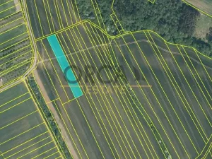 Prodej pole, Březolupy, 17736 m2