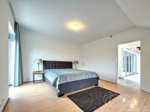Pronájem rodinného domu, Dolní Břežany, V Úvozu, 380 m2