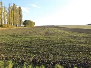 Dražba pozemku pro bydlení, Albrechtice nad Vltavou, 4328 m2