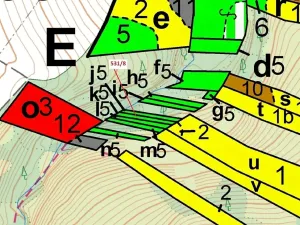 Dražba lesa, Havlíčkův Brod, 212 m2