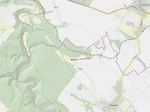 Dražba lesa, Březník, 234 m2