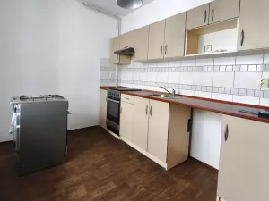 Pronájem bytu 1+1, Šenov, U Alejského dvora, 40 m2