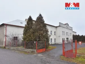 Pronájem obchodního prostoru, Plazy, 675 m2