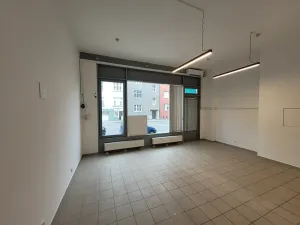 Pronájem obchodního prostoru, Brno, Purkyňova, 39 m2