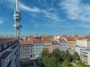 Prodej bytu 3+kk, Praha - Žižkov, Bořivojova, 81 m2