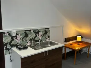 Pronájem bytu 1+kk, Havlíčkův Brod, Na Losích, 40 m2