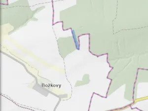 Prodej lesa, Blížejov - Lštění, 4624 m2