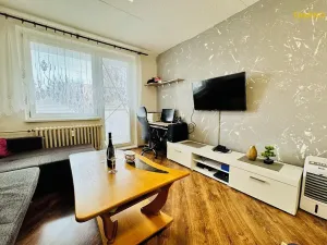 Prodej bytu 2+1, Třebíč, Modřínová, 56 m2