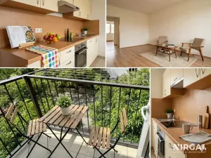 Pronájem bytu 1+1, Praha - Žižkov, U kněžské louky, 70 m2