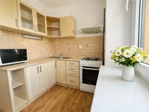 Pronájem bytu 1+1, Praha - Žižkov, U kněžské louky, 70 m2