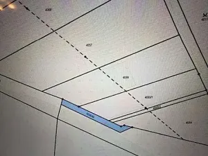 Prodej lesa, Březolupy, 245 m2