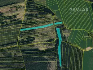 Prodej lesa, Křelovice, 102822 m2