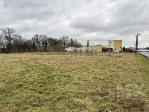 Prodej komerční nemovitosti, Česká Skalice, Bezručova, 4078 m2