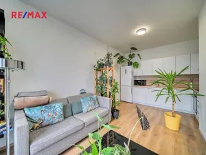 Pronájem bytu 2+kk, Kolín, Zengrova, 38 m2