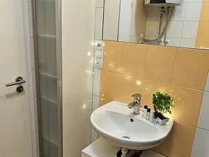 Pronájem bytu 1+kk, Brno - Zábrdovice, Tkalcovská, 32 m2