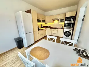 Pronájem bytu 2+1, Ústí nad Labem, Brandtova, 61 m2