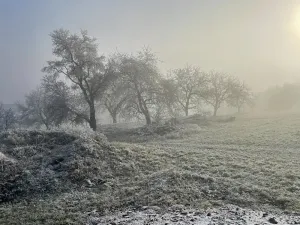 Dražba rodinného domu, Osiky, 241 m2