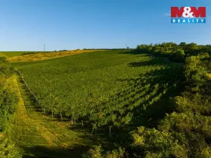 Prodej pole, Šardice, 56699 m2