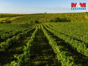 Prodej pole, Šardice, 56699 m2