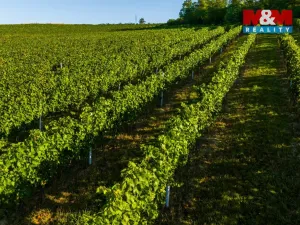 Prodej pole, Šardice, 56699 m2