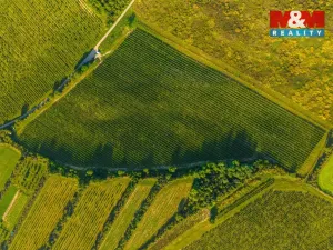 Prodej pole, Šardice, 56699 m2