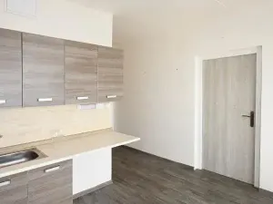 Pronájem bytu 1+1, Chomutov, Borová, 36 m2