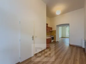 Pronájem bytu 1+1, Praha - Žižkov, Seifertova, 40 m2