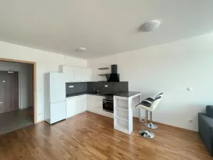 Pronájem bytu 1+kk, Pardubice - Zelené Předměstí, Pod Vinicí, 41 m2