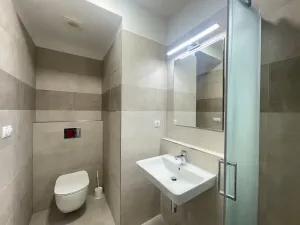 Pronájem bytu 1+kk, Pardubice - Zelené Předměstí, Pod Vinicí, 41 m2