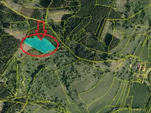 Prodej lesa, Huslenky, 11045 m2