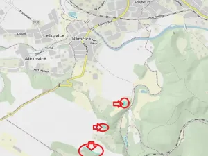 Prodej podílu lesa, Ivančice, 2330 m2