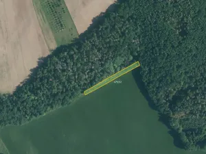 Prodej pole, Lažany, 9706 m2