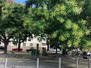 Pronájem pokoje, Praha - Holešovice, 48 m2