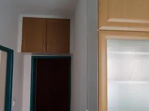 Pronájem bytu 2+1, Praha - Břevnov, Nad alejí, 55 m2