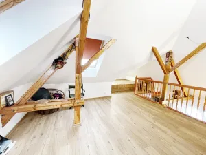 Prodej rodinného domu, Plzeň - Východní Předměstí, Stanko Vodičky, 218 m2