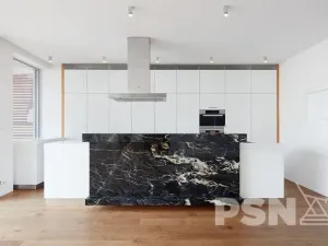 Pronájem bytu 4+kk, Praha - Vinohrady, Laubova, 260 m2