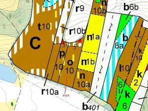 Dražba lesa, Přílepy, 7060 m2