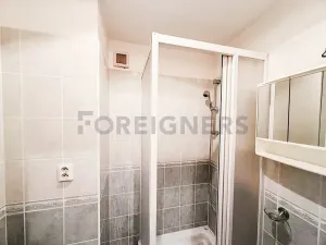 Prodej rodinného domu, Brno, Škroupova, 117 m2