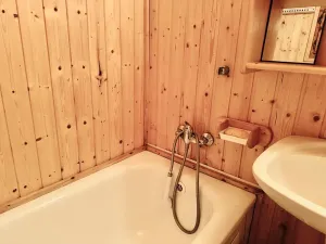 Prodej chaty, Starý Petřín, 90 m2