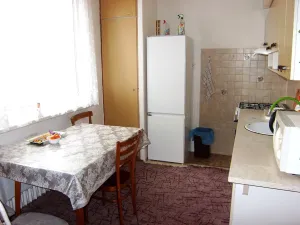 Prodej bytu 4+1, Choceň, Záměstí, 90 m2