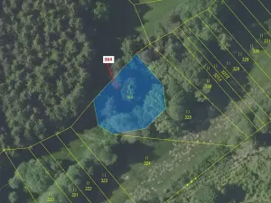 Dražba lesa, Vlašim, 838 m2