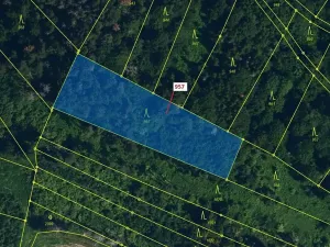 Dražba lesa, Mladoňovice, 2344 m2