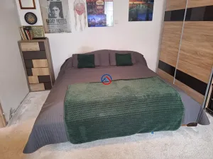 Prodej bytu 2+1, Olomouc, Purkyňova, 67 m2