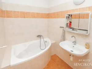 Prodej rodinného domu, Nechanice, 180 m2