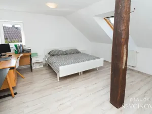 Prodej rodinného domu, Nechanice, 180 m2